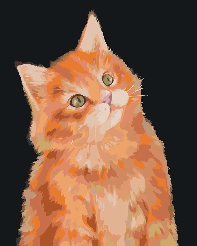 Diamond painting - ROTER KATER AUF DUNKLEM HINTERGRUND (MYROSLAVA VOLOSCHUK)