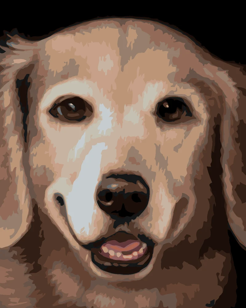 Diamond painting - GOLDEN RETRIEVER 2 (MYROSLAVA VOLOSCHUK)