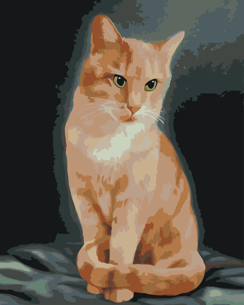 Diamond painting - ROTER KATER (MYROSLAVA VOLOSCHUK)