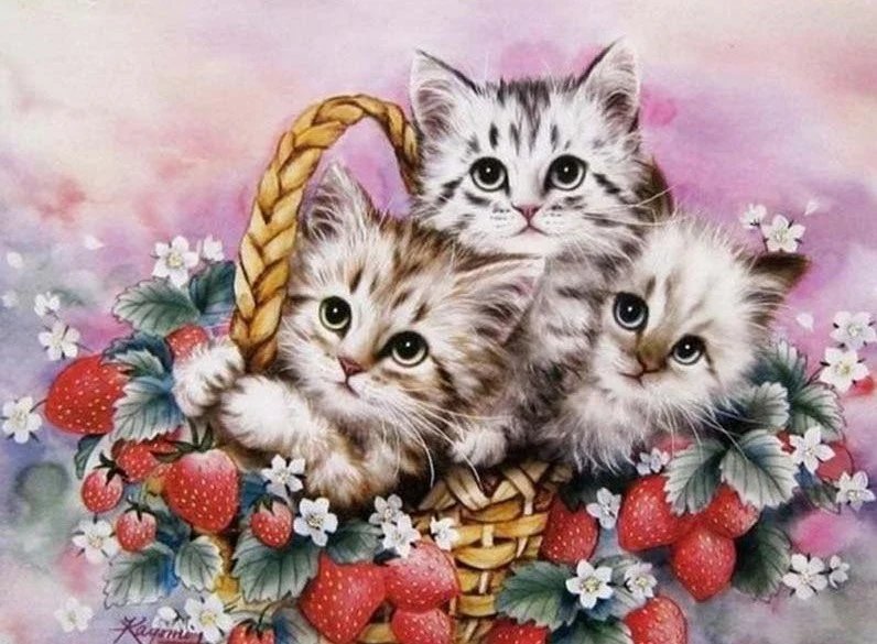 Cat In The Basket PIX-37