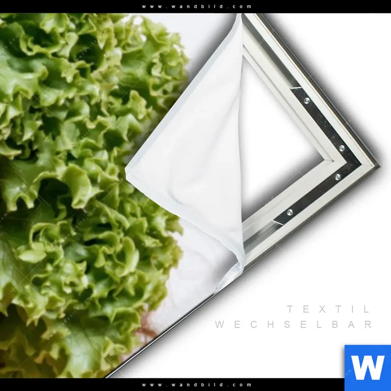 Spannbild | Salat Diva | Panorama
