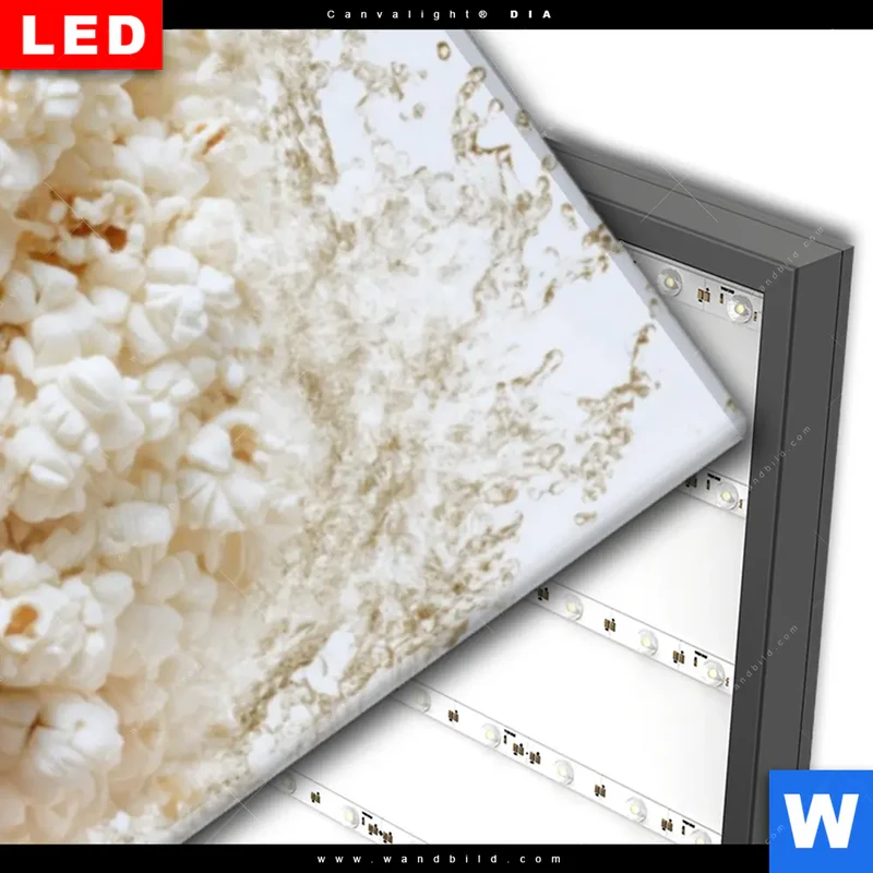 Wechselmotiv Acrylglas Canvalight® DIA | Crazy Popcorn Hair | Panorama