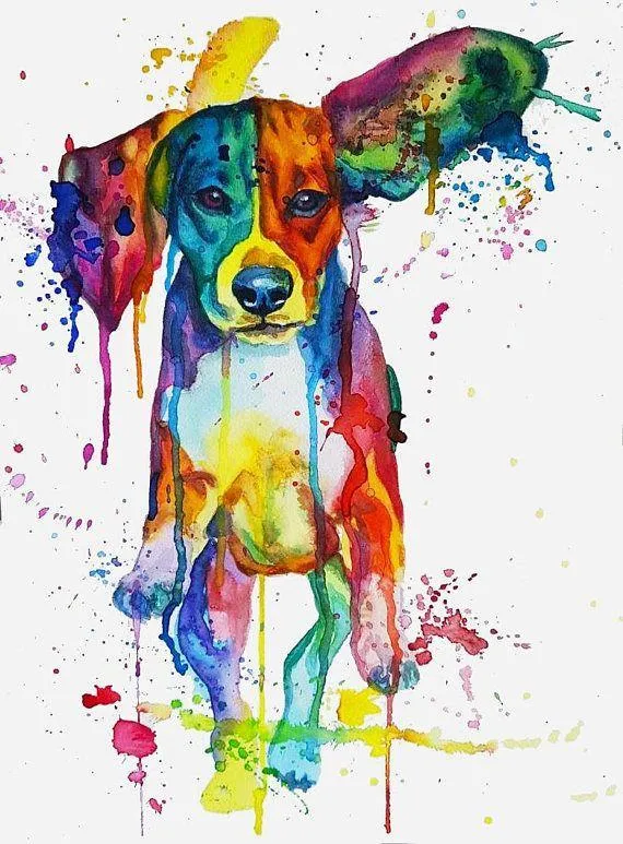 Beagle Colors PIX-324