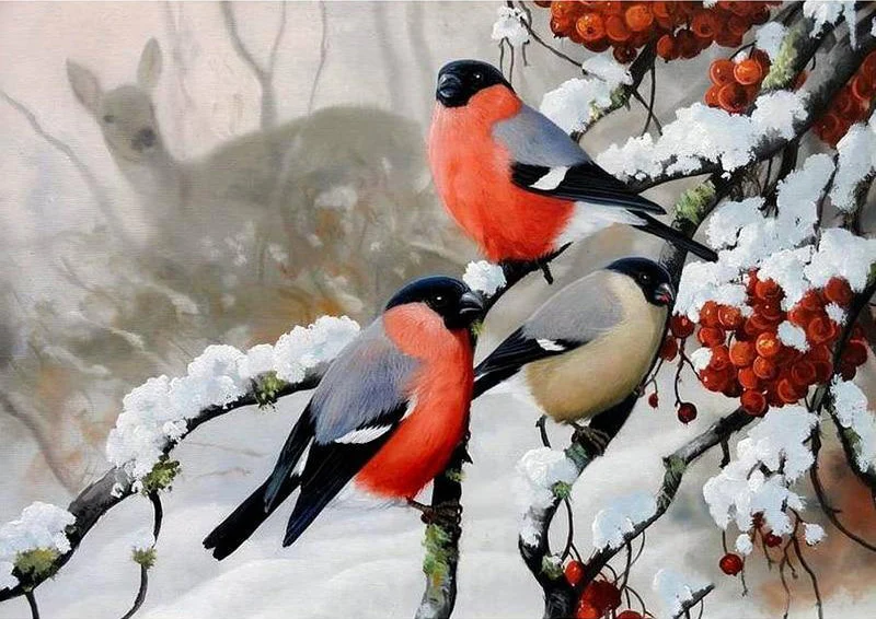 Winter Birds PIX-80