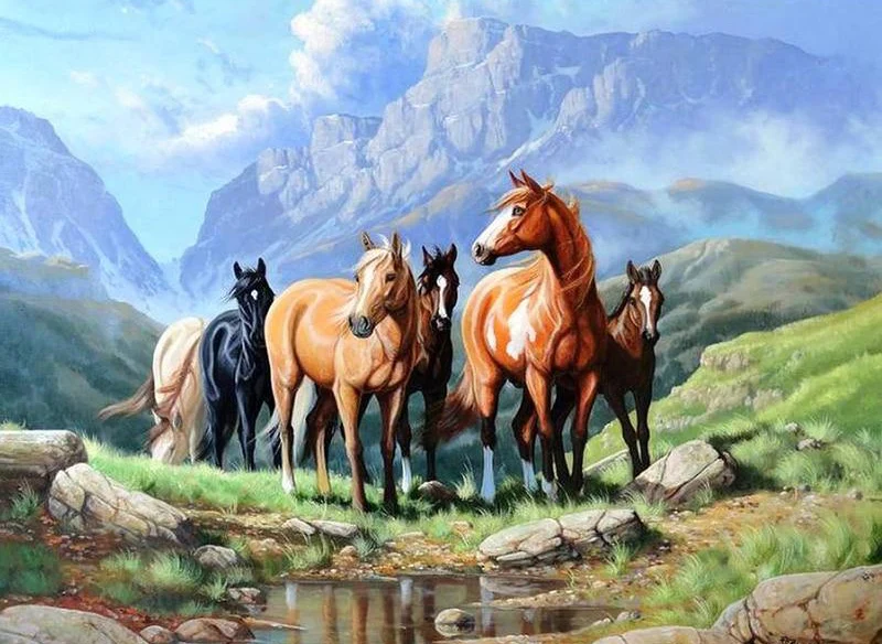 Horse On The Grass PIX-100