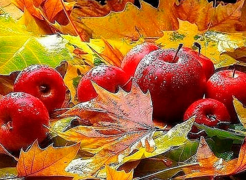 Mosaic Apple PIX-412