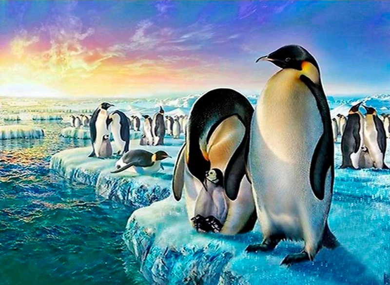 Penguins PIX-453