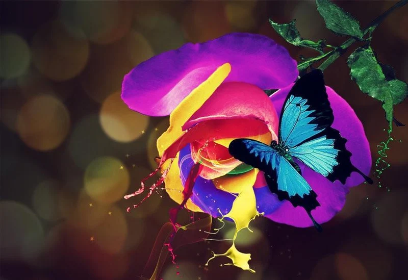 Rainbow Flowers PIX-766
