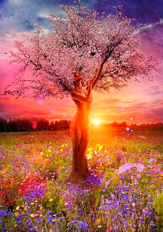 Beauty Tree PIX-205