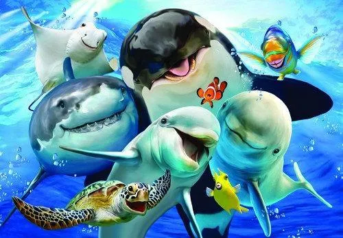 Shark Happy PIX-1310