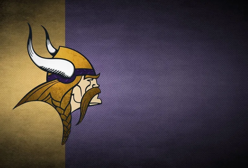 Minnesota Vikings Face PIX-1299