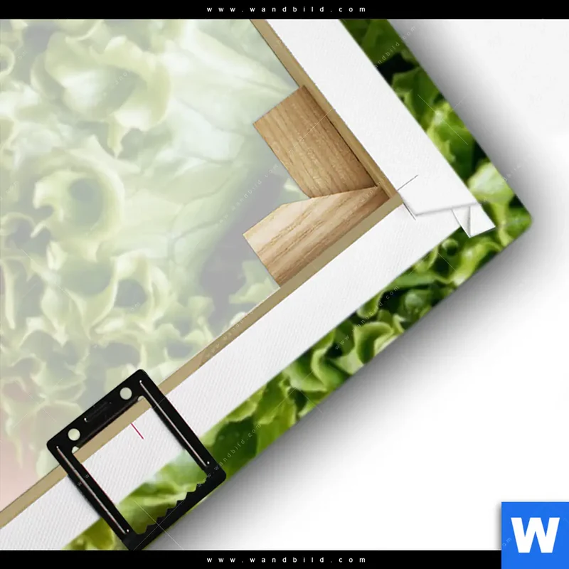 Leinwandbild | Salat Diva | Schmal