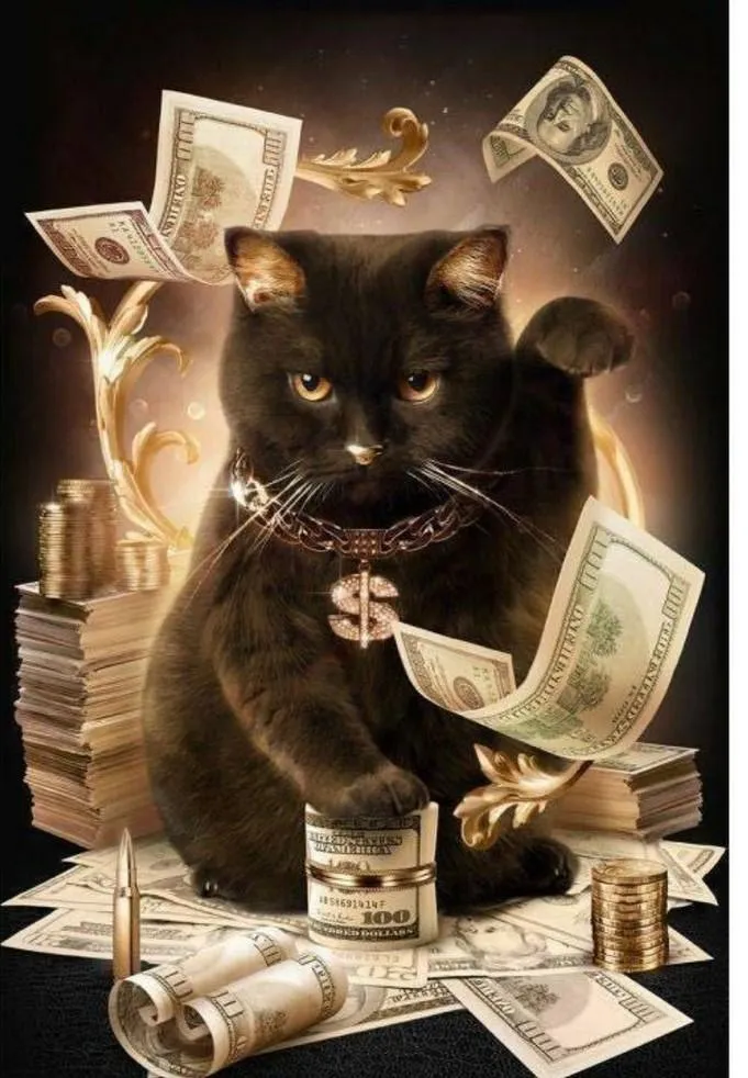 Cat PIX-1331
