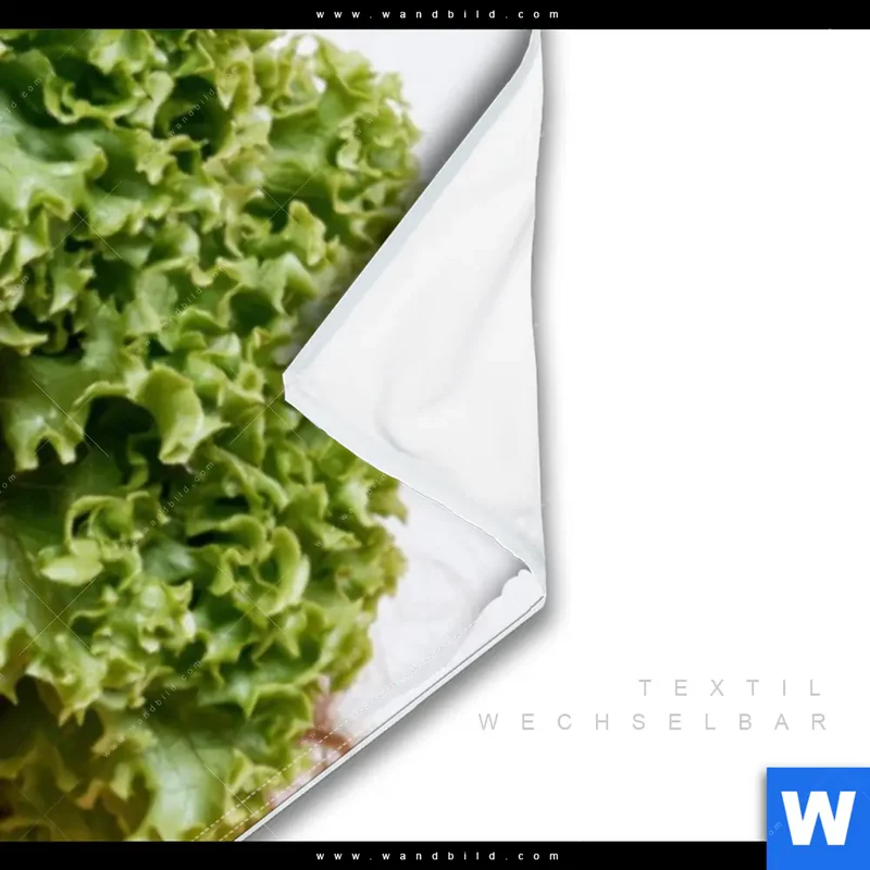 Wechselmotiv | Salat Diva | Panorama