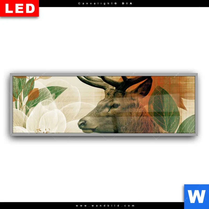 Leuchtbild Acrylglas Canvalight® DIA | Hirsch - Waldkönig in Herbstfarben | Panorama
