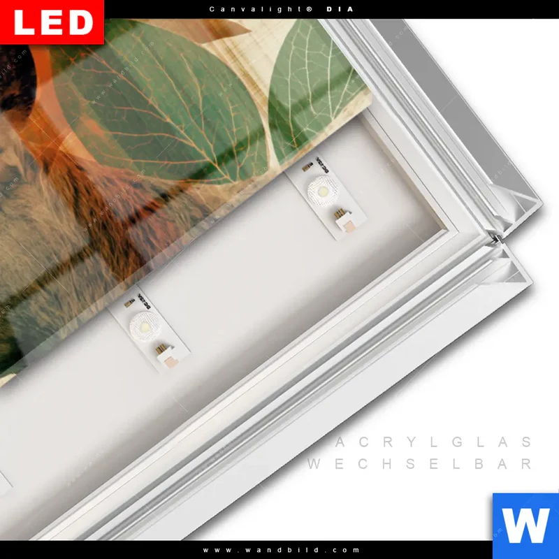 Leuchtbild Acrylglas Canvalight® DIA | Hirsch - Waldkönig in Herbstfarben | Panorama