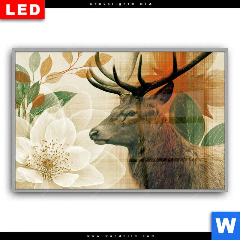 Leuchtbild Acrylglas Canvalight® DIA | Hirsch - Waldkönig in Herbstfarben | Querformat
