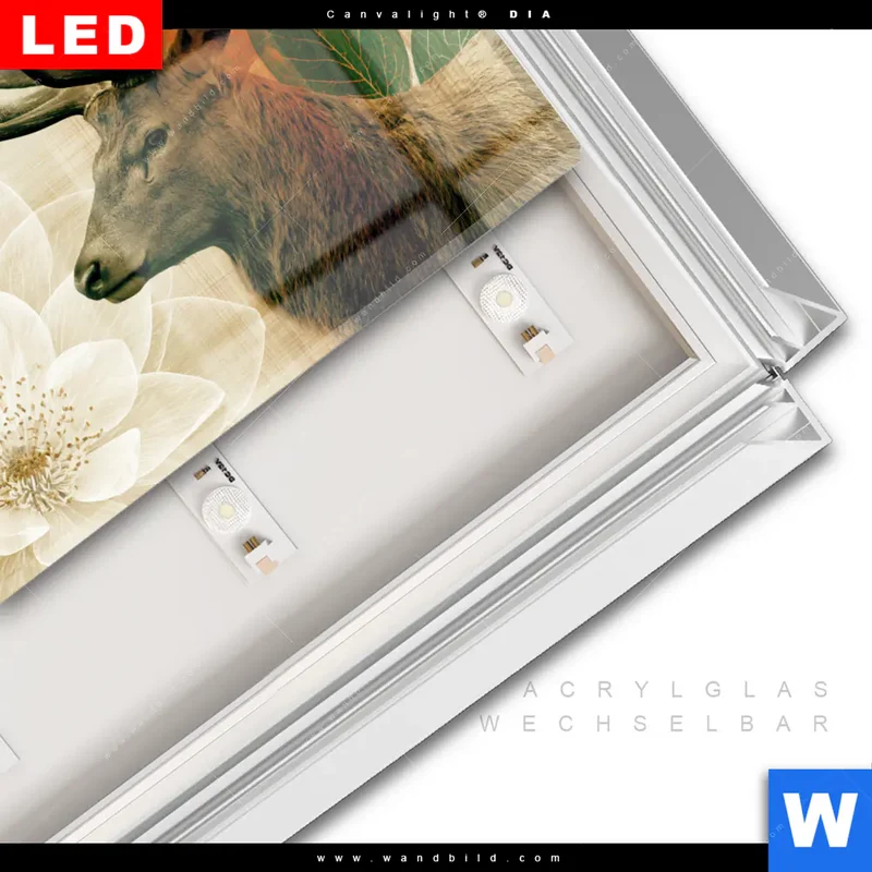 Leuchtbild Acrylglas Canvalight® DIA | Hirsch - Waldkönig in Herbstfarben | Querformat