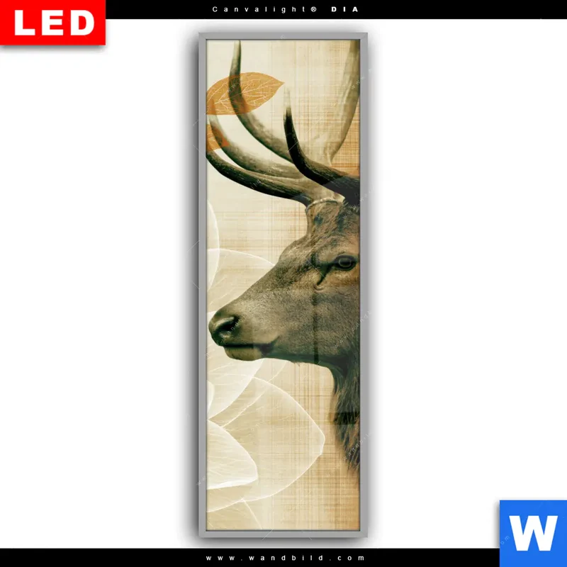 Leuchtbild Acrylglas Canvalight® DIA | Hirsch - Waldkönig in Herbstfarben | Schmal