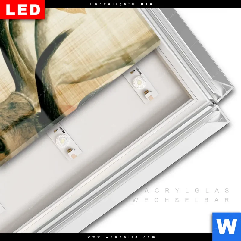 Leuchtbild Acrylglas Canvalight® DIA | Hirsch - Waldkönig in Herbstfarben | Schmal
