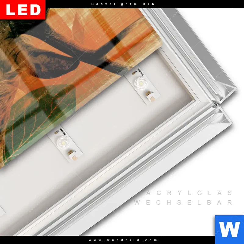 Leuchtbild Acrylglas Canvalight® DIA | Hirsch - Waldkönig in Herbstfarben | Hochformat