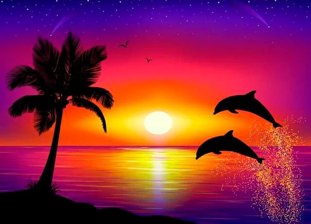 Dolphin Cross PIX-425
