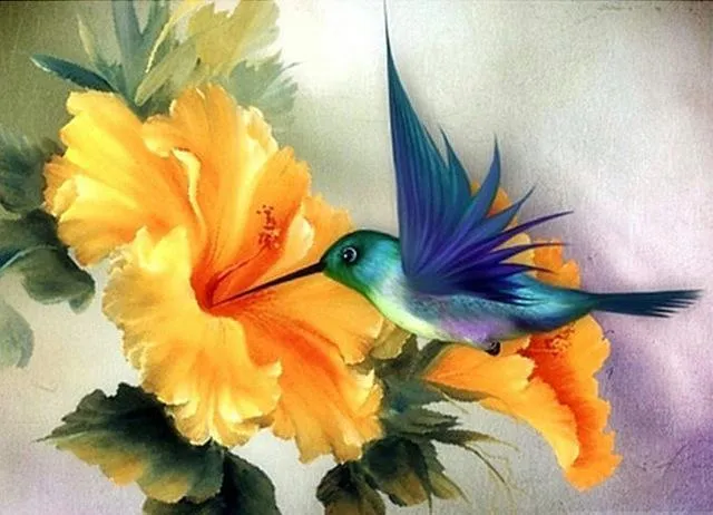 Animal Hummingbird PIX-516