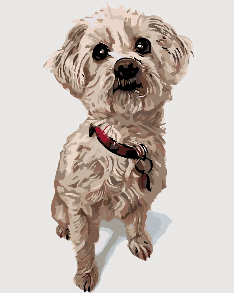 Diamond painting - MALTESER HUND