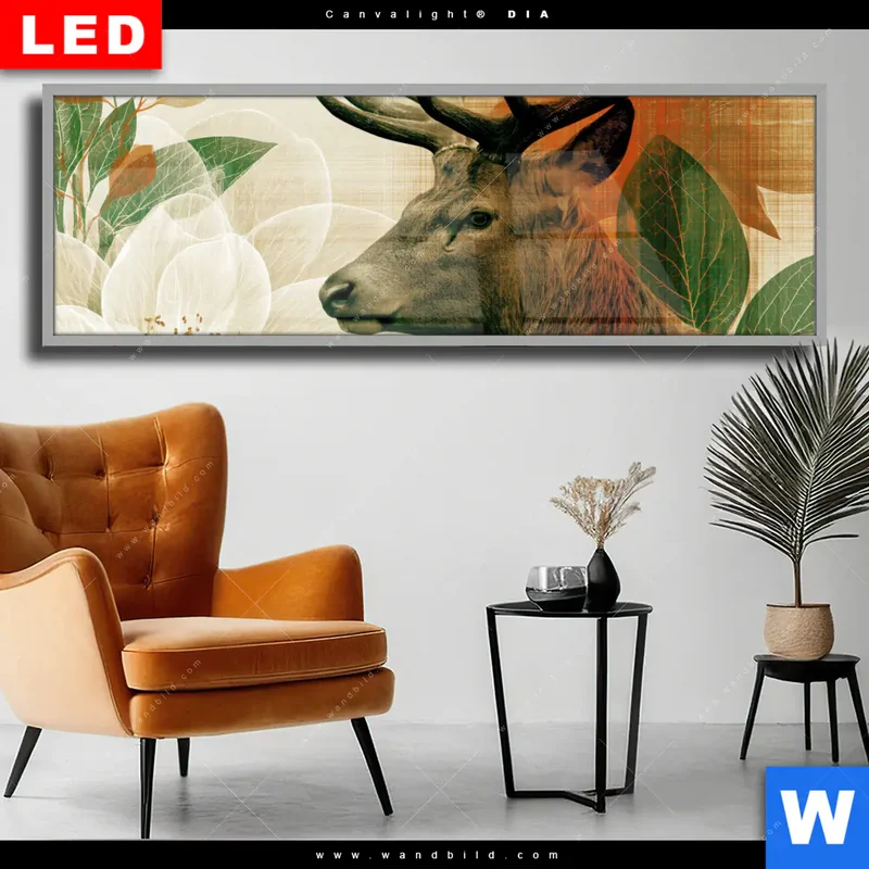 Wechselmotiv Acrylglas Canvalight® DIA | Hirsch - Waldkönig in Herbstfarben | Panorama