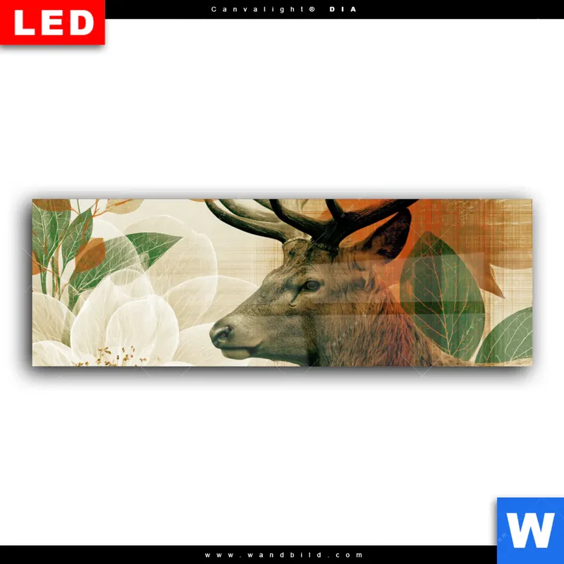 Wechselmotiv Acrylglas Canvalight® DIA | Hirsch - Waldkönig in Herbstfarben | Panorama