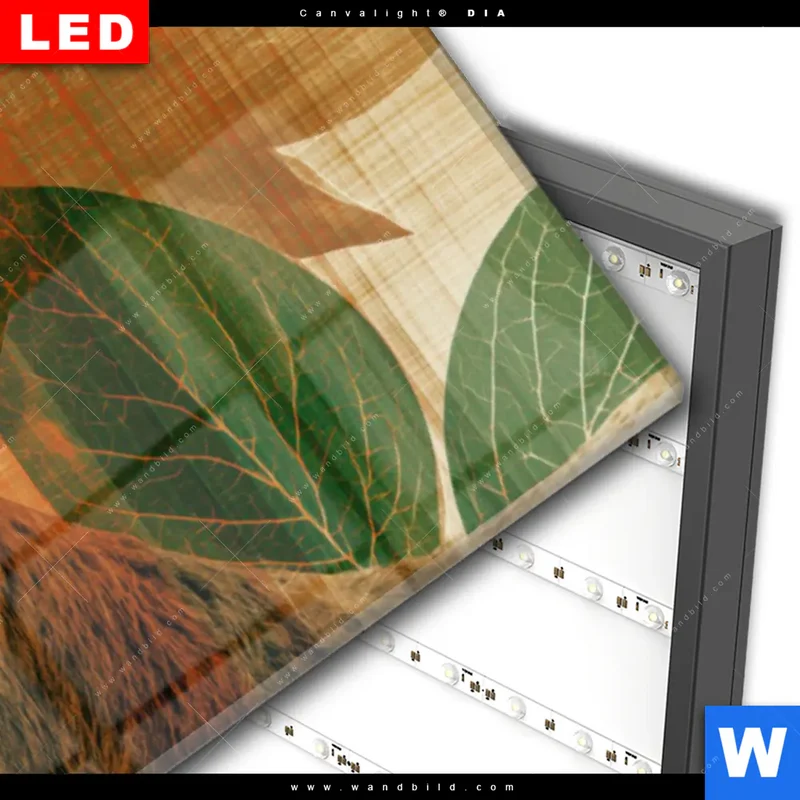 Wechselmotiv Acrylglas Canvalight® DIA | Hirsch - Waldkönig in Herbstfarben | Panorama