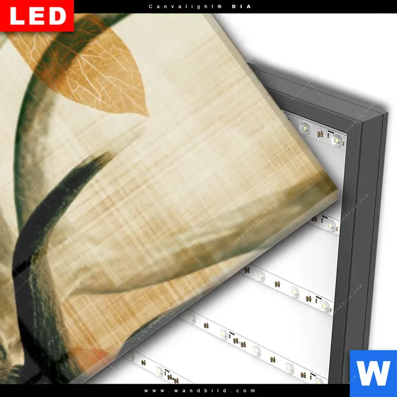 Wechselmotiv Acrylglas Canvalight® DIA | Hirsch - Waldkönig in Herbstfarben | Schmal