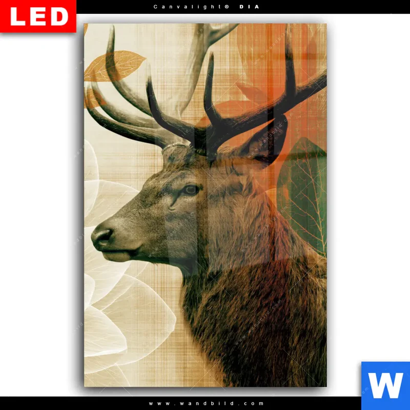 Wechselmotiv Acrylglas Canvalight® DIA | Hirsch - Waldkönig in Herbstfarben | Hochformat