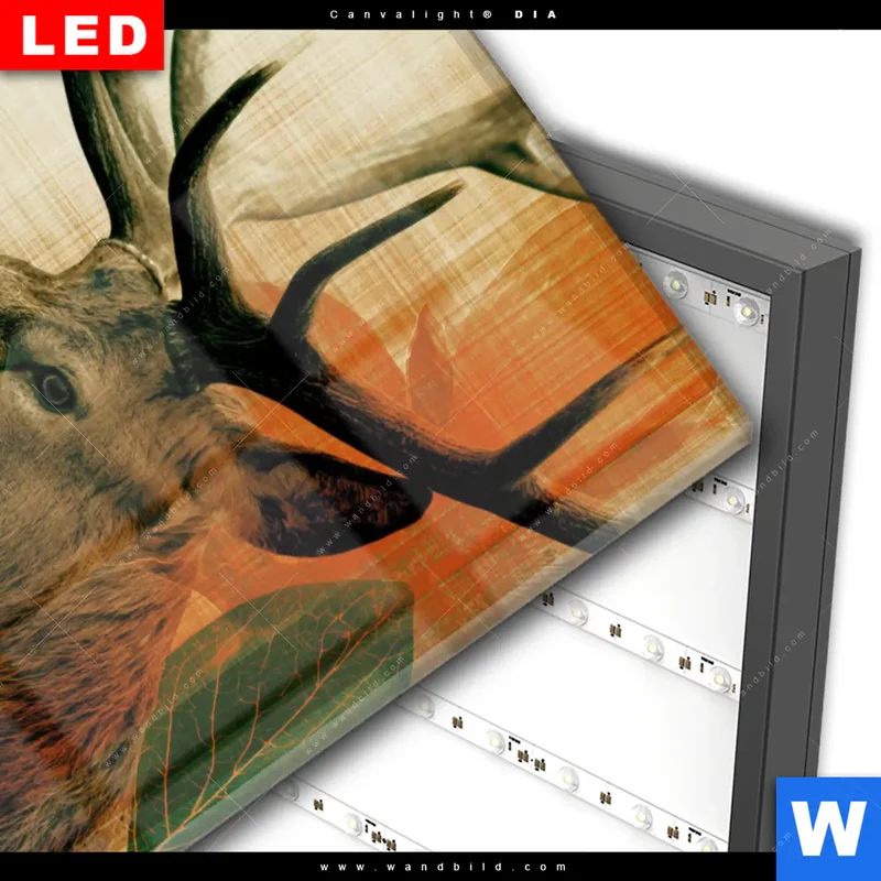 Wechselmotiv Acrylglas Canvalight® DIA | Hirsch - Waldkönig in Herbstfarben | Hochformat