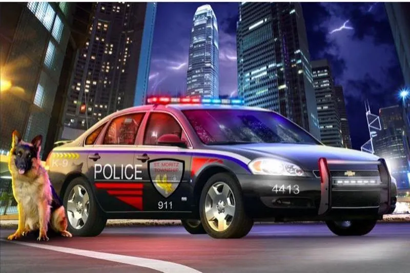 Police Car And Dog PIX-1317