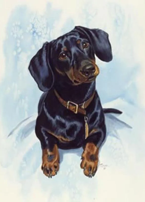 Snow In The Dog PIX-111