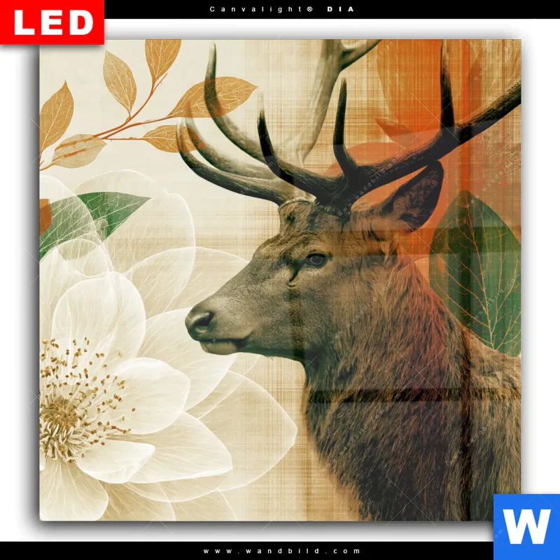 Wechselmotiv Acrylglas Canvalight® DIA | Hirsch - Waldkönig in Herbstfarben | Quadrat