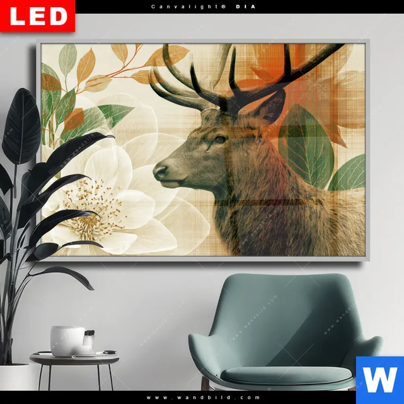 Wechselmotiv Acrylglas Canvalight® DIA | Hirsch - Waldkönig in Herbstfarben | Querformat