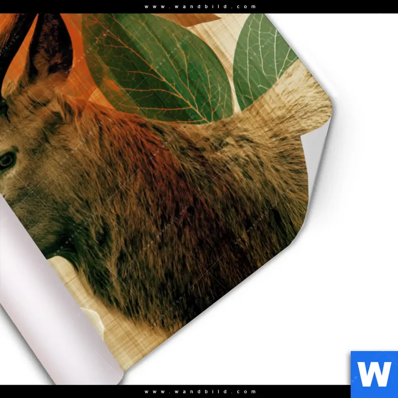 Poster | Hirsch - Waldkönig in Herbstfarben | Querformat