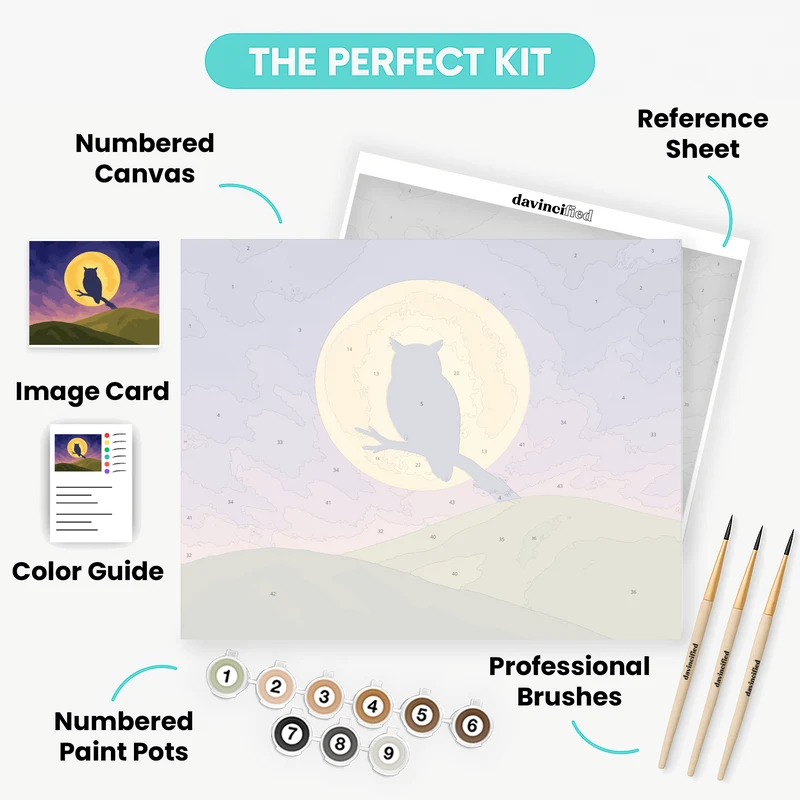 Owl in Moonlight - Paint by Numbers Kit