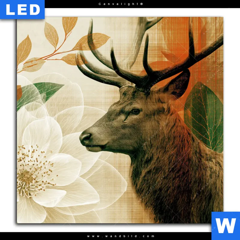 Canvalight® Leuchtbild | Hirsch - Waldkönig in Herbstfarben | Quadrat