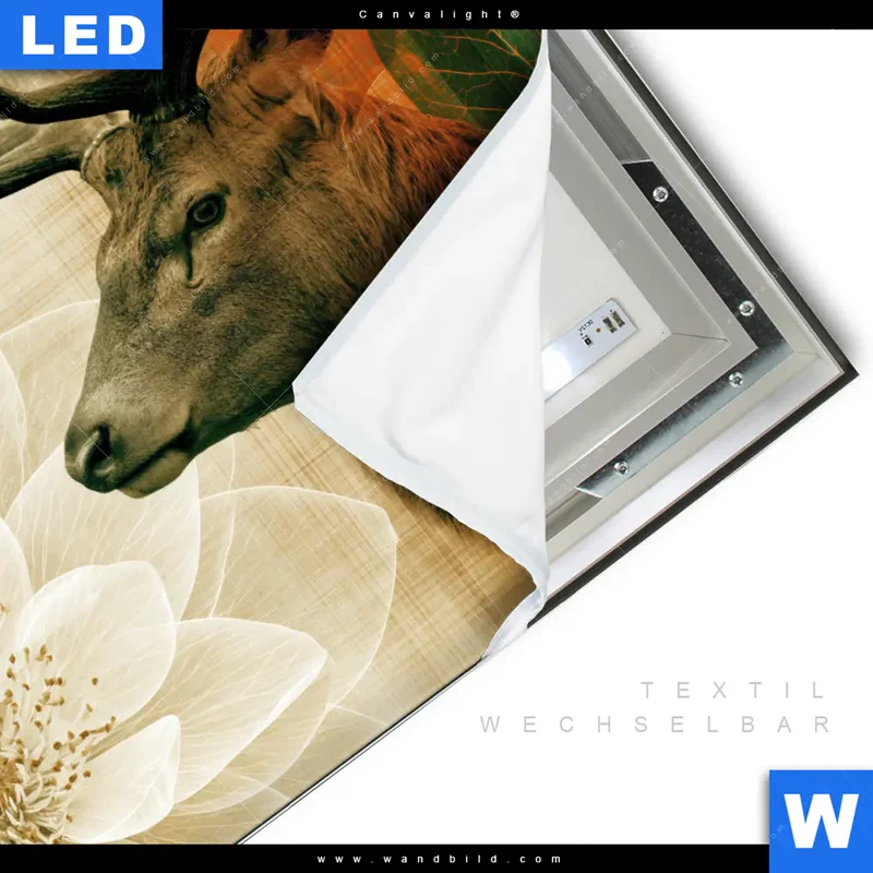 Canvalight® Leuchtbild | Hirsch - Waldkönig in Herbstfarben | Quadrat
