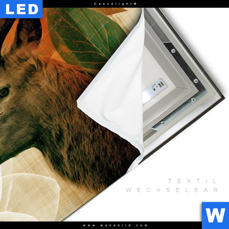 Canvalight® Leuchtbild | Hirsch - Waldkönig in Herbstfarben | Querformat