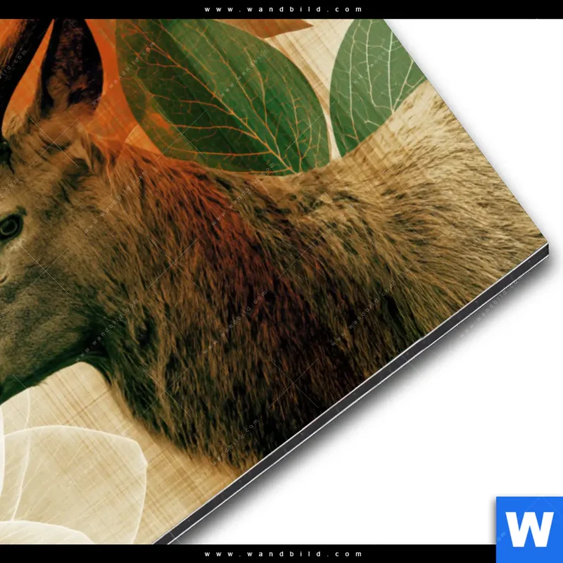 Alu-Dibond Bild | Hirsch - Waldkönig in Herbstfarben | Querformat