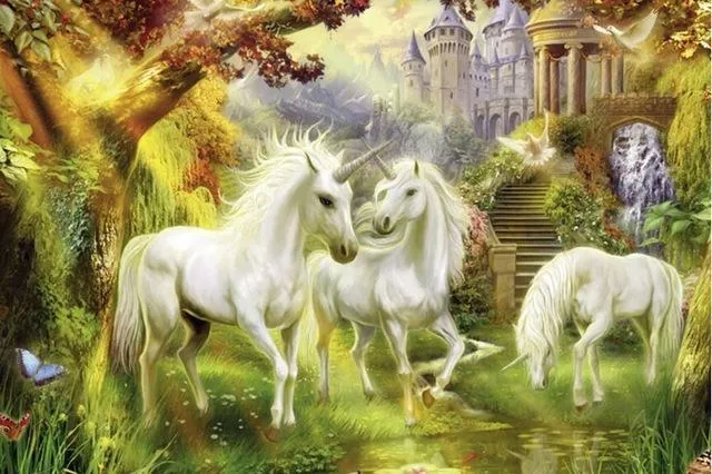 Unicorn PIX-848
