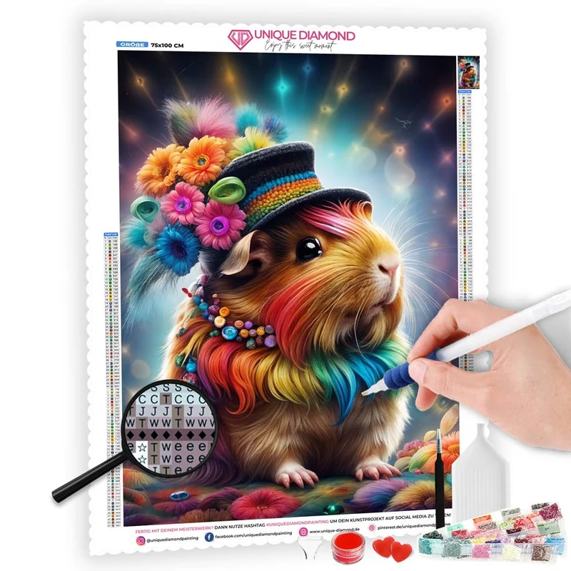5D Diamond Painting – Finns Regenbogen-Magie
