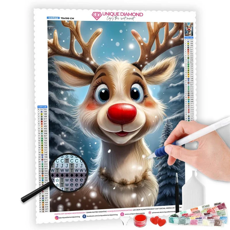 5D Diamond Painting – Rudolphs Winterzauber
