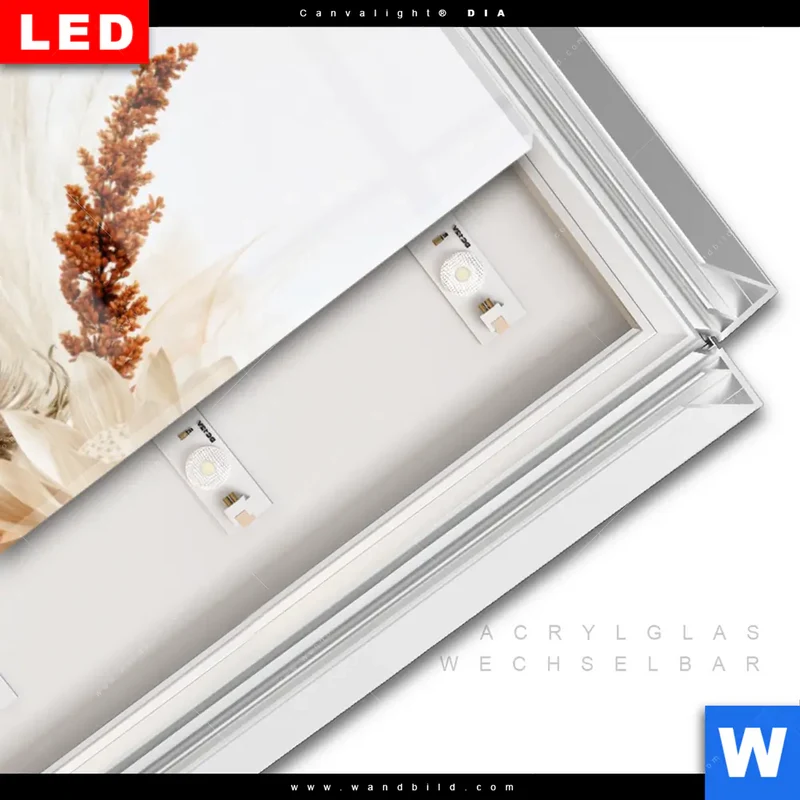 Leuchtbild Acrylglas Canvalight® DIA | Buddha – Harmonie der Natur | Panorama