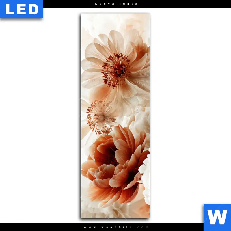 Canvalight® Leuchtbild | Pfingstrosen im Morgenlicht | Schmal
