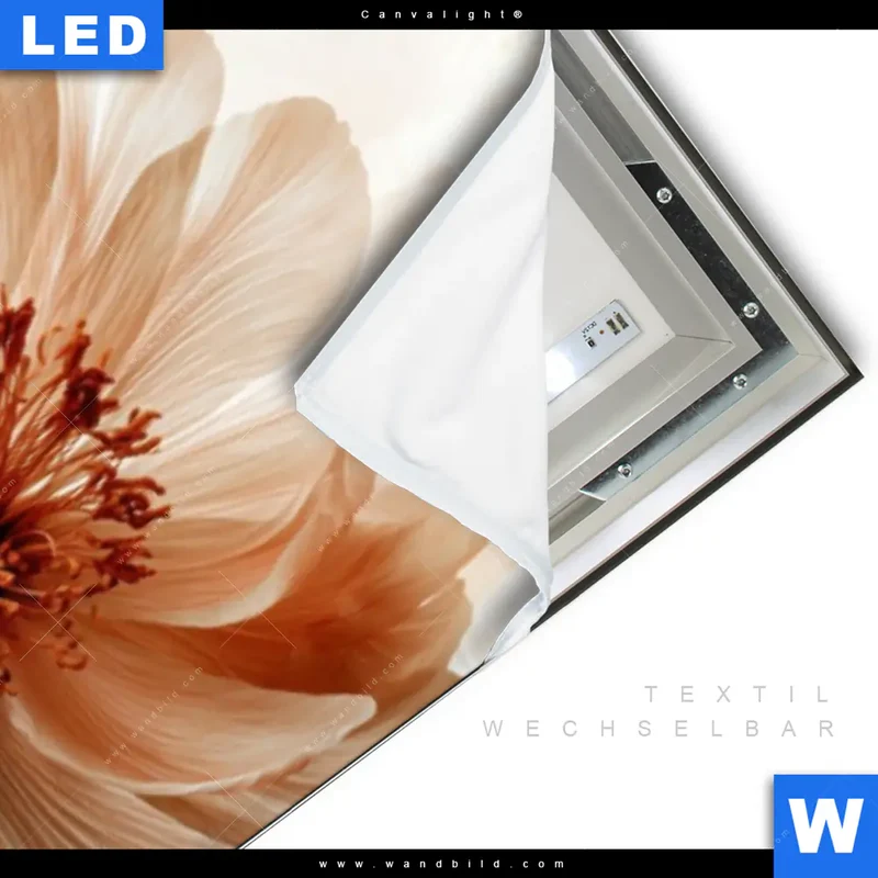 Canvalight® Leuchtbild | Pfingstrosen im Morgenlicht | Schmal